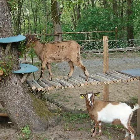 Camping De 3* Montmaurin