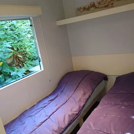 Camping De