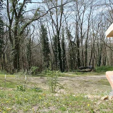 Camping De